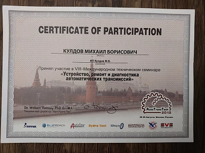 Сертификат участия 2